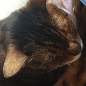 Meet your Posher, Diane